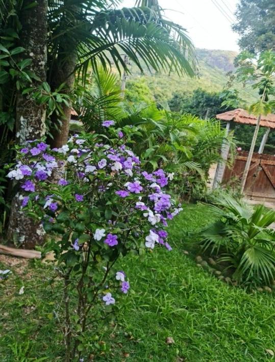 Sitio Borges Villa Petrópolis Dış mekan fotoğraf